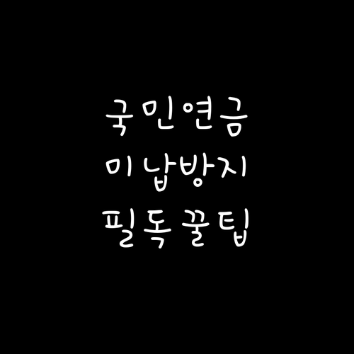 국민연금 미납 방지 위한 분할 납부 ..