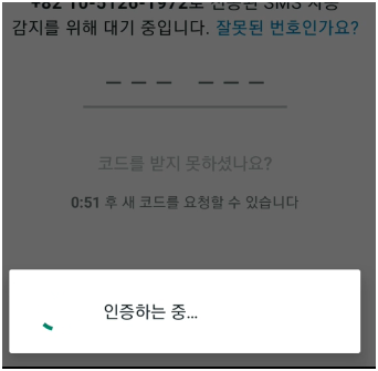 자동 인증 화면