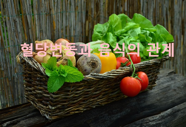 혈당변동과 음식의 관계