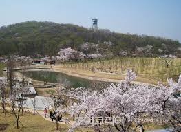 상도권역 이팝나무 꽃 축제 기본일정과 프로그램 소개 및 특징