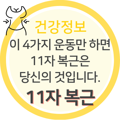 11자 복근 만드는 4가지 운동