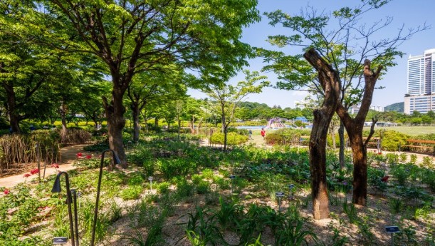 2025 서울국제정원박람회 정원