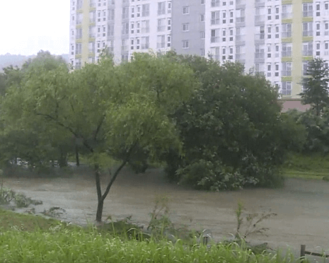 폭우로 인한 피해사진