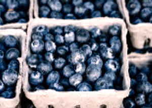 당뇨병 초기증상 수치 원인