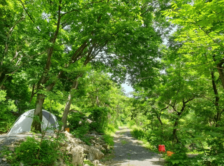 경기-포천-산아래캠핑장-사진-입니다.