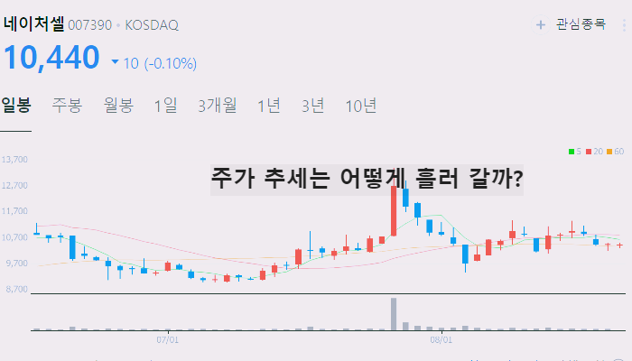 대마 관련주 대장주 TOP10 : 의료용