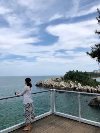 동해 가볼만한곳 맛집 추천 카페 봄 베스트 10_14