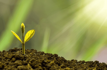 예금금리 가장 높은곳