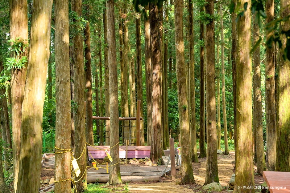 장흥 가볼만한곳 베스트10