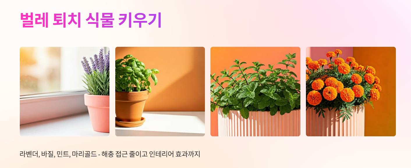 자연친화적인 벌레 퇴치 방법