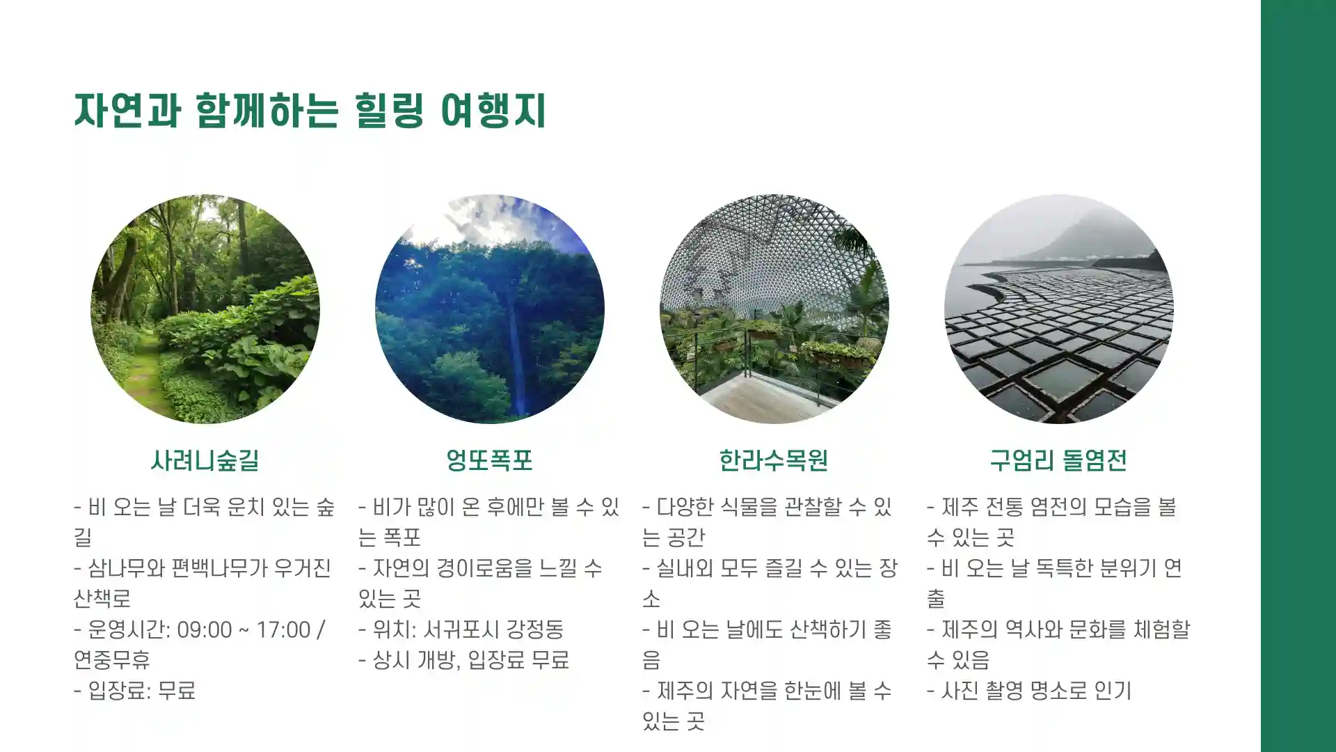 비오는날 제주도 가볼곳