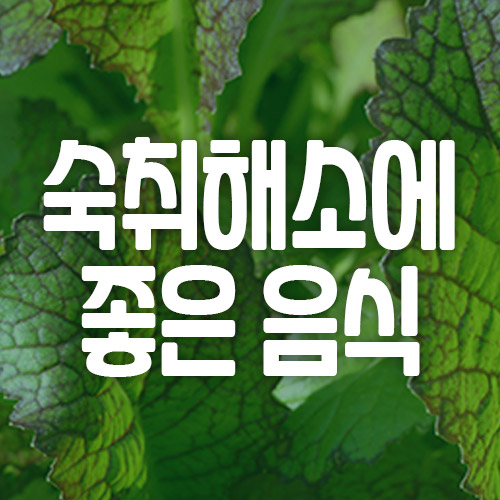 숙취해소에 좋은 음식