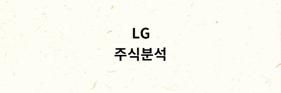 LG 분석