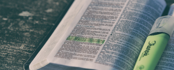 2023 수능 만점자 근황