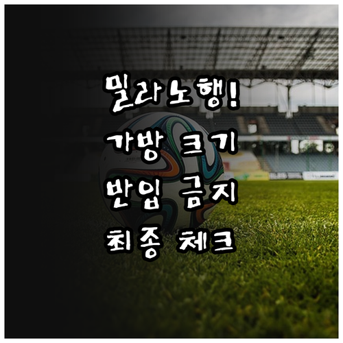 밀라노 올림픽 경기장 반입 가능 가방..