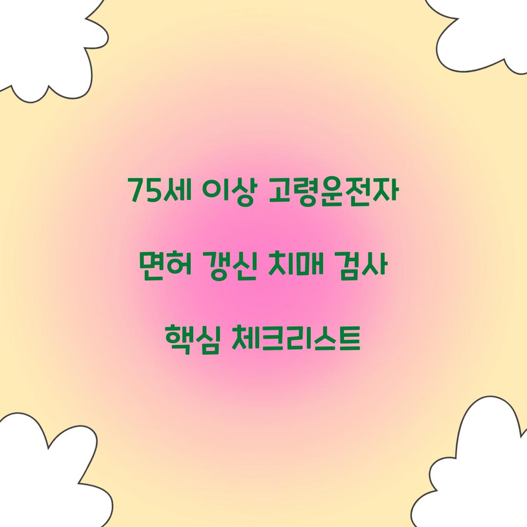 75세 이상 고령운전자