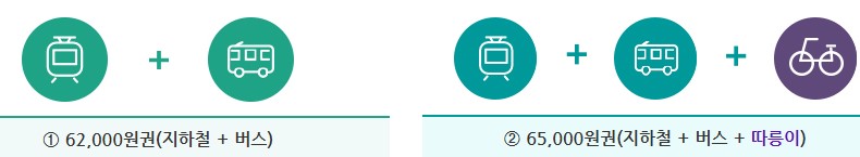 기후동행카드 가격