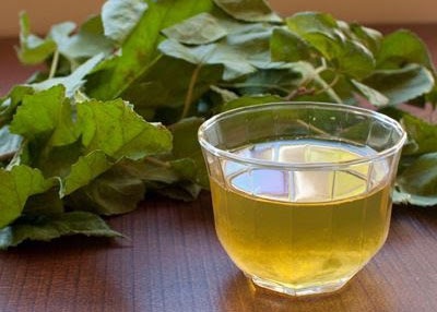 글의 이해를 돕기 위한 뽕잎과 뽕잎차