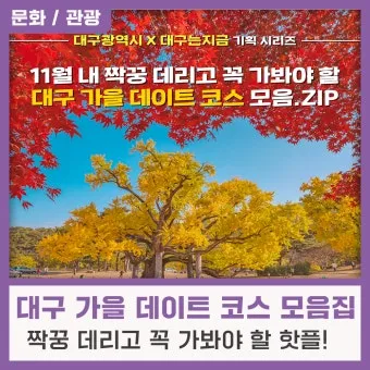 대구 데이트 코스 추천 연인과 특별한 하루 보내는 방법_18