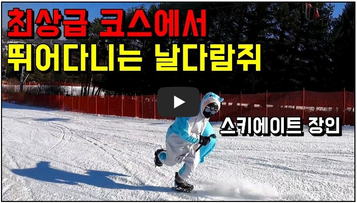 국내 스키 유튜버 순위 TOP 8 8