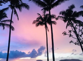 따뜻한 휴양지 추천 베스트 5 코타1