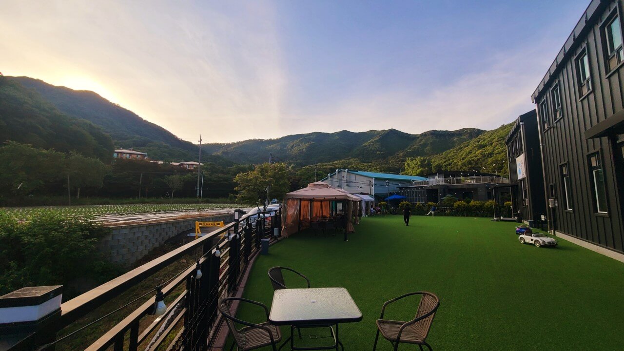 하남 & 경기 광주 반려견 동반 공간 Best 6 : 입장료, 위치, 시간까지 한눈에!