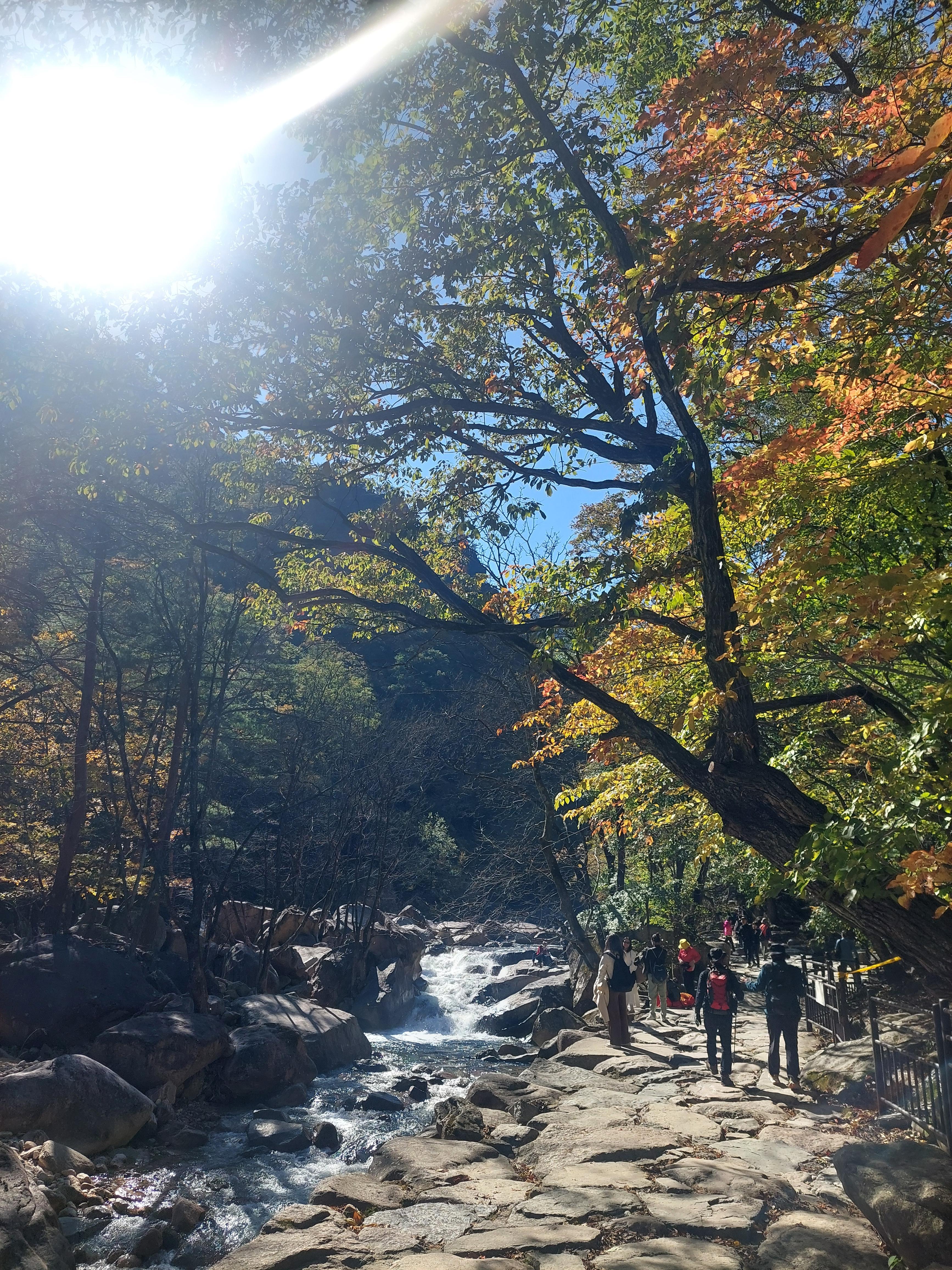 설악산