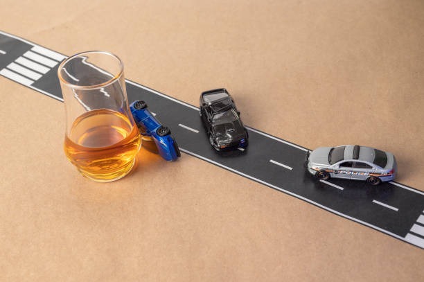 광복절-특사-음주운전-운전면허