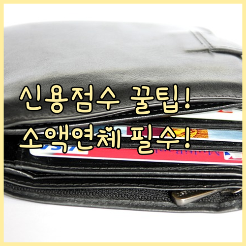 신용 점수 즉시 상승 소액 연체 전액..