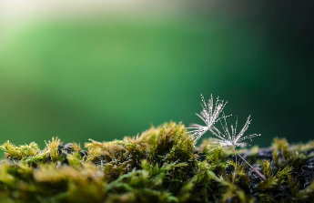 보건증 검사항목 쉽게 정리 4