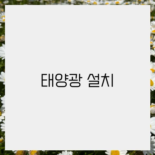 태양광 설치, 정부지원사업으로 비용 부담 줄이기!