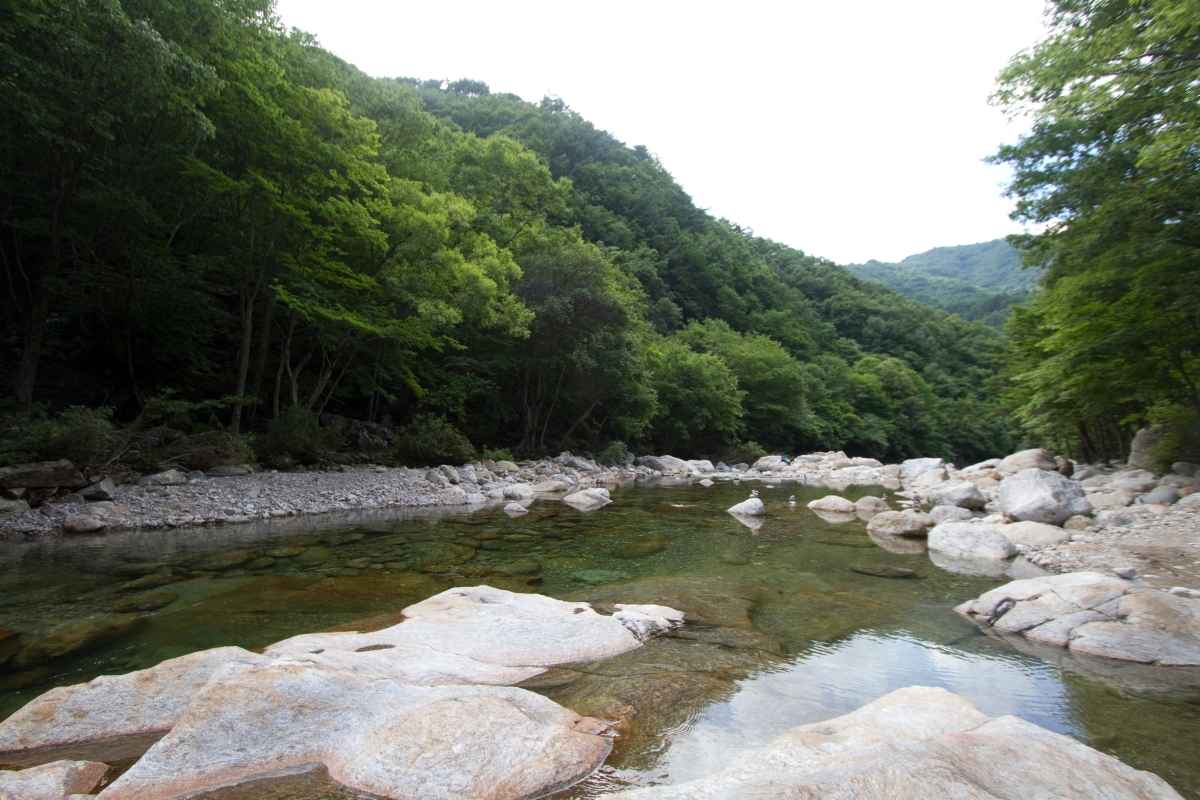 뱀사골 계곡