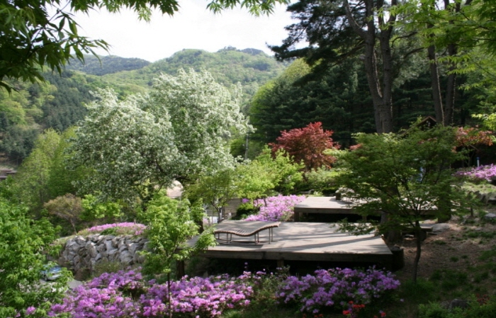 축령산 자연휴양림