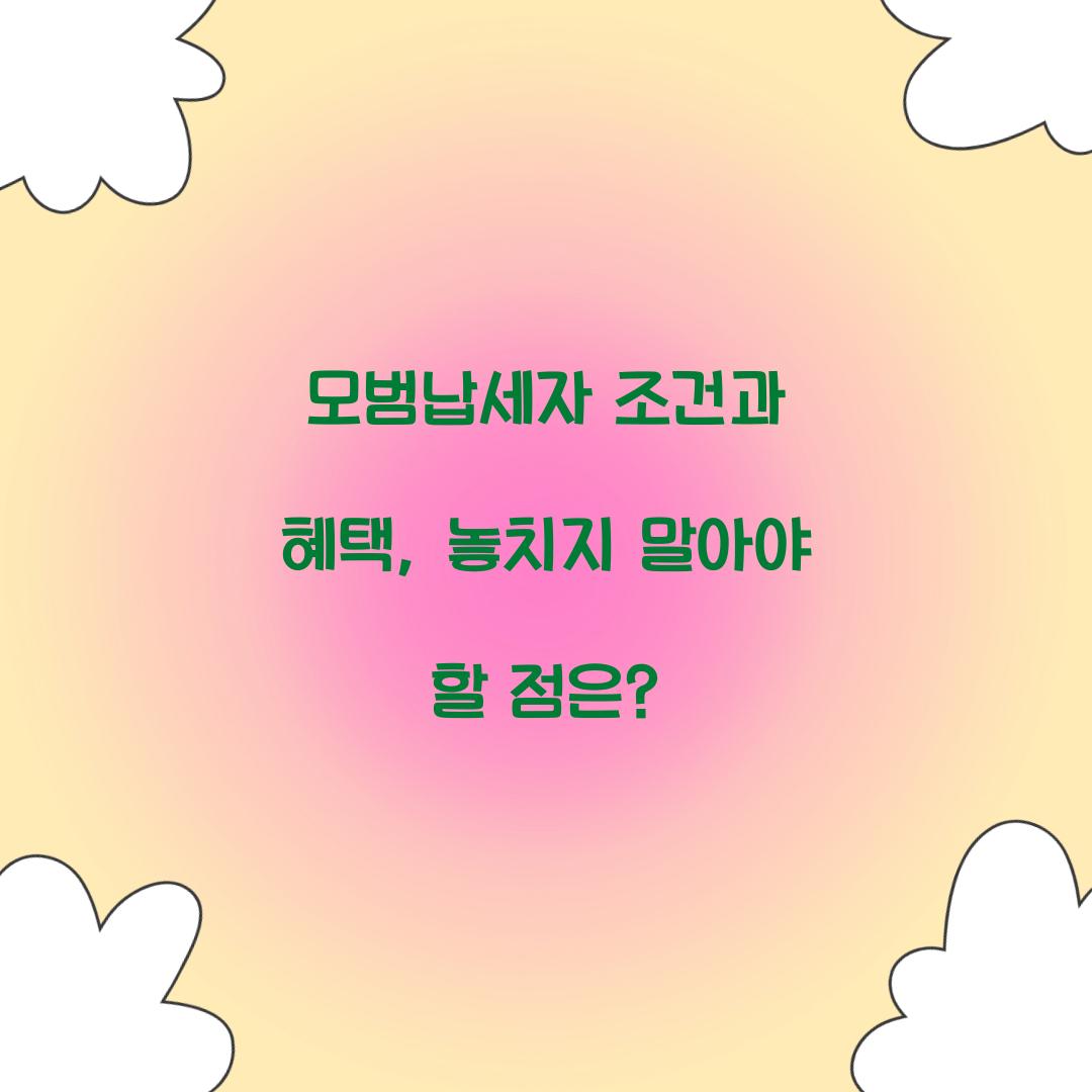 모범납세자 조건