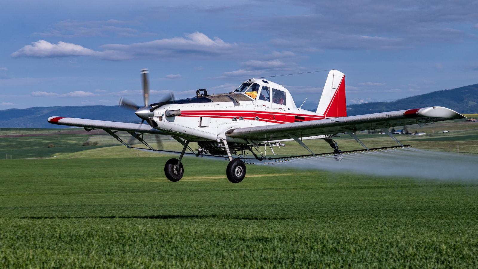 농약이 환경에 미치는 영향