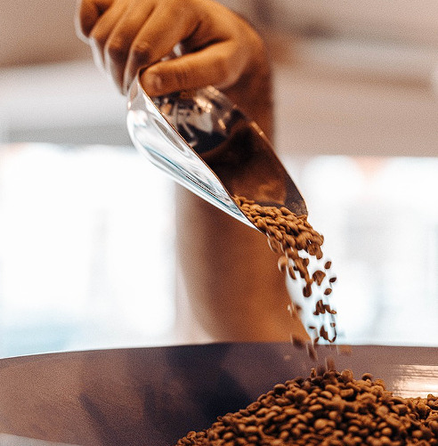 스타벅스 버디패스