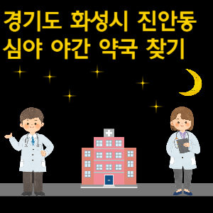 화성시 진안동 심야 야간 약국 찾기