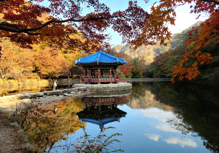 내장산 등산코스