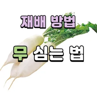 "가을무