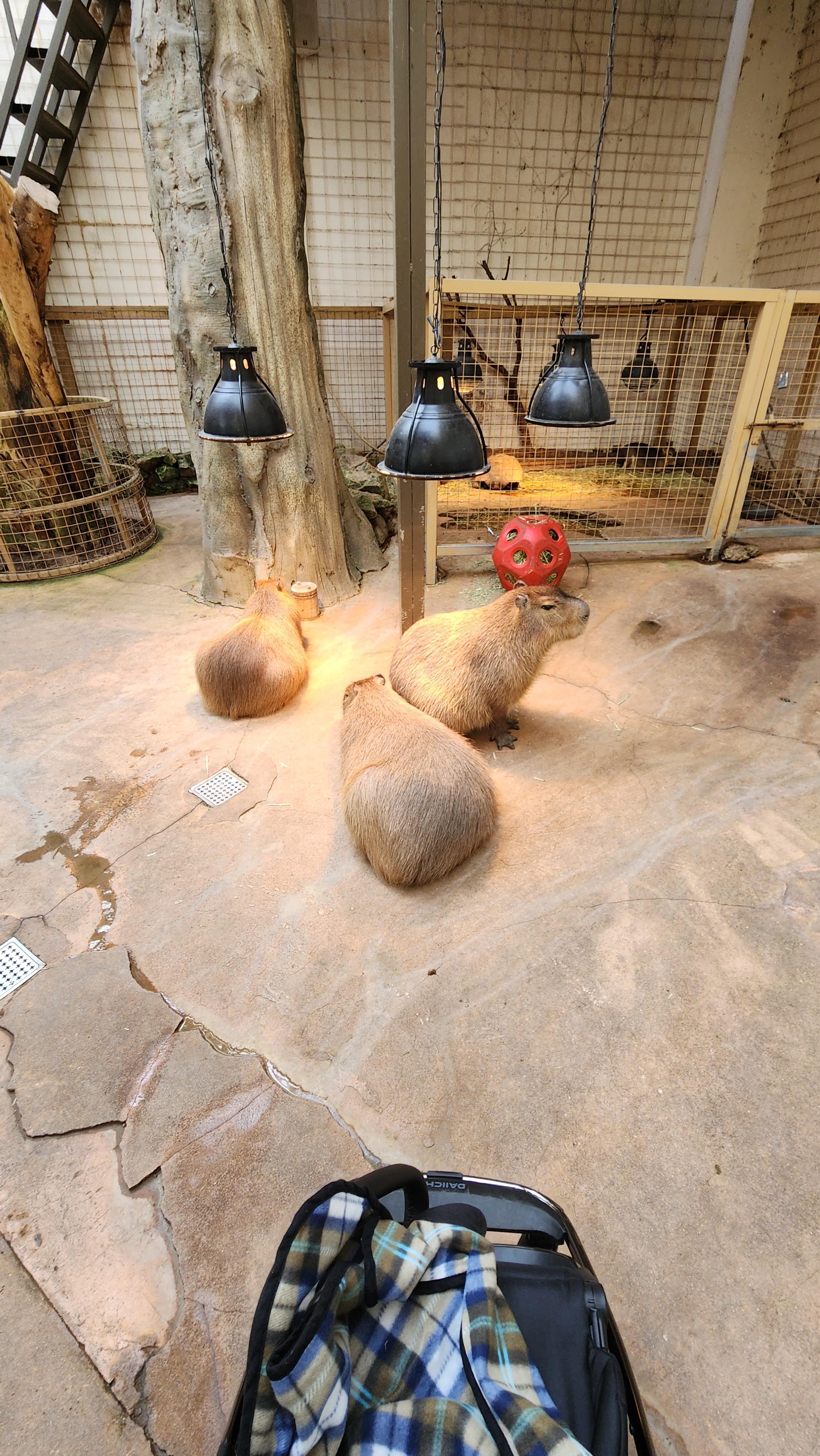 대구-네이처파크