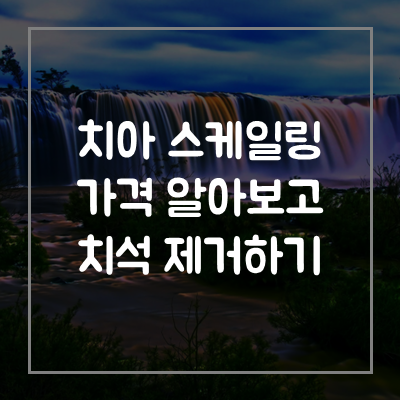 치아-스케일링-스켈링-가격-비용