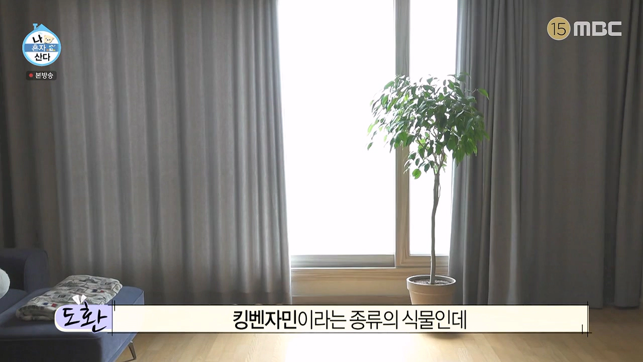 우도환 나혼산 출연 근황