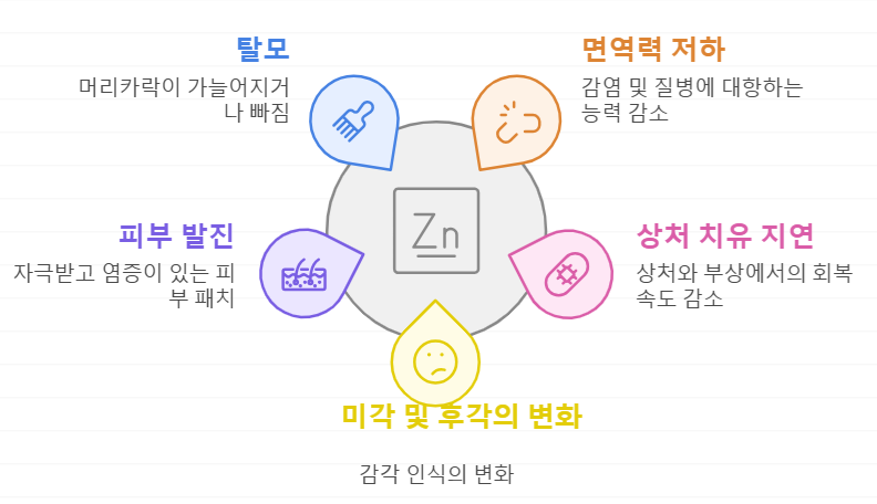 아연 결핍의 증상