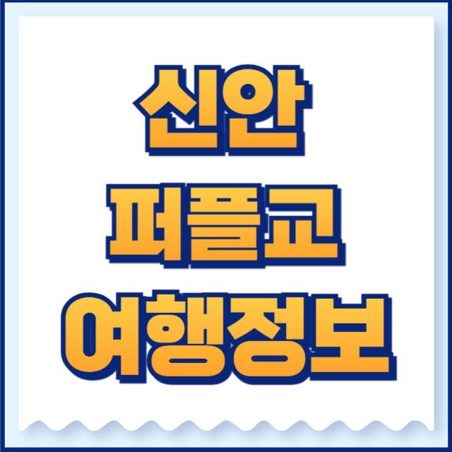 신안 퍼플교