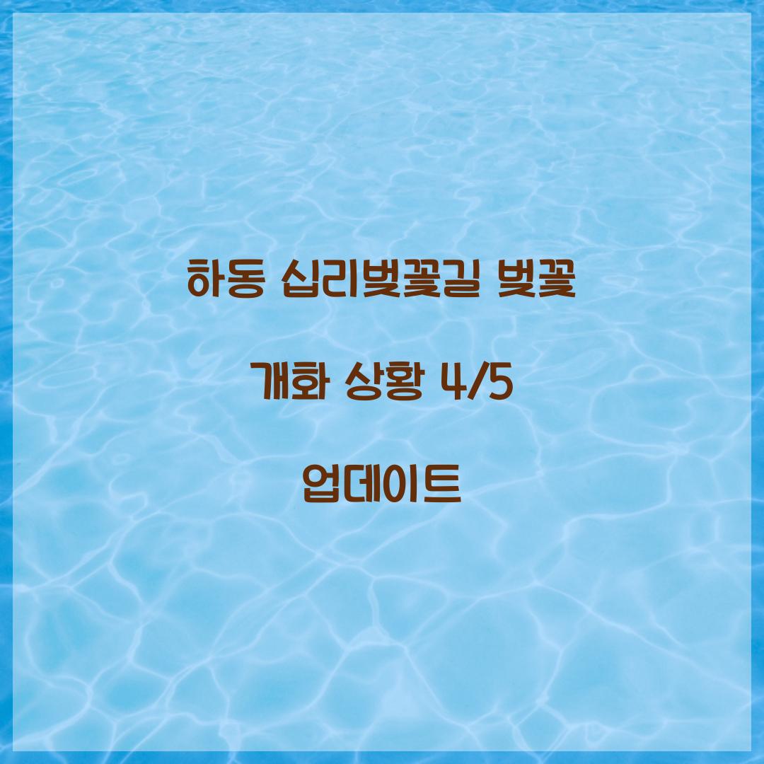 하동 십리벚꽃길 벚꽃 개화 상황