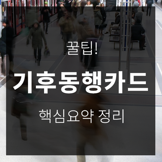 기후동행카드