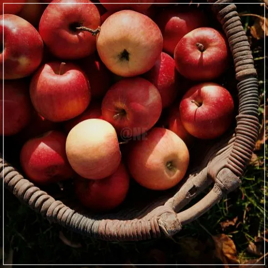 당뇨에 좋은 과일 사과1