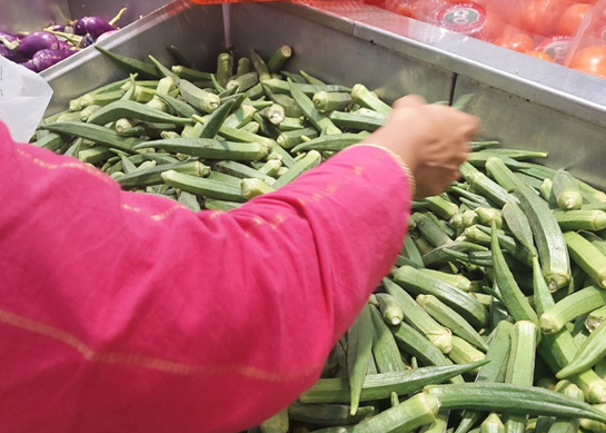 오크라의 모든 것