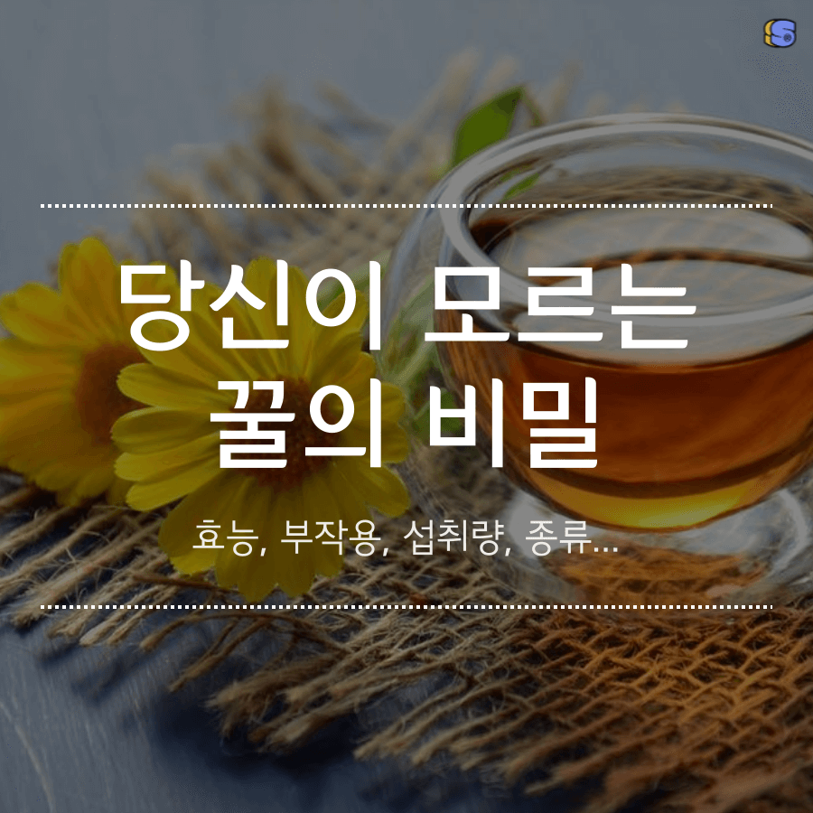 꿀의 효능과 부작용