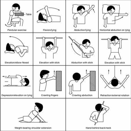 오십견 운동방법